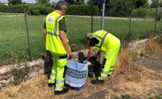 San Secondo, scoperte due discariche di rifiuti contenenti amianto
