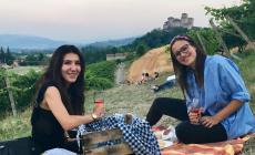 Picnic in vigna