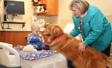 Pet therapy: guarire con l'aiuto degli animali