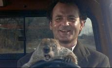 La marmotta predice altre 6 settimane d'inverno