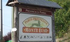 Monte Fuso: "Mercatini al Parco"