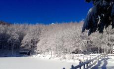 La magia dei Lagoni sotto la neve: foto