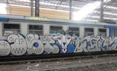 Treni regionali (e merci) a tutto &laquo;graffiti&raquo;