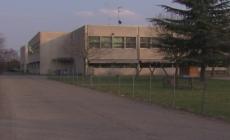 Alinovi interviene sulla scuola Anna Frank - Video