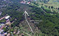 Milano Marittima: tutto a posto a tempo di record