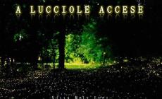 A lucciole accese 
