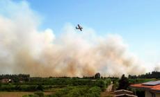 Incendi: evacuate case e campeggi in Sardegna - le foto