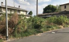 Appello dei residenti al Comune: «Siamo circondati da bisce e topi»