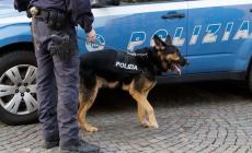 Spacciavano nelle scuole, fermata organizzazione di ragazzini