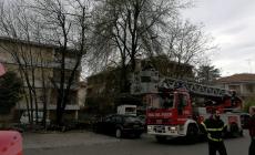 Albero cade vicino alla scuola Newton