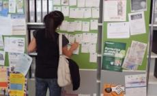 Gazzetta Lavoro