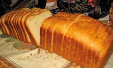 Una storia lunga cinque millenni tra tradizione e grandi svolte