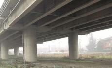 Barriere antirumore per l'A15 &laquo;Subito un incontro pubblico&raquo;