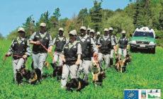 Quegli agenti a quattro zampe in prima linea contro il bracconaggio 