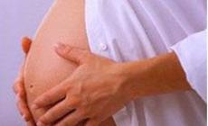 Staminali: isolate in ovaie, cambia "orologio" fertilità