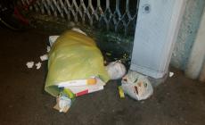 Rifiuti abbandonati in via Marchesi