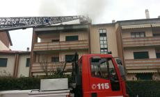 Ozzano, in fiamme il tetto di un condominio Foto