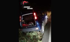 Braccati dai carabinieri abbandonano l'auto con un fucile a canne mozze