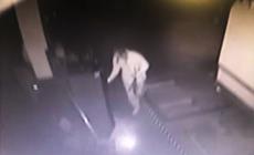 Furto in officina a Gainago di Torrile: bottino magro ma tanti danni	- Video