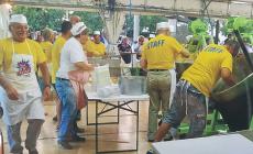 Torna l'oro giallo di Alberi