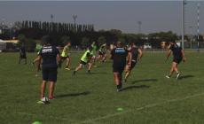 Rugby, Zebre ancora al lavoro - Video