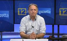 Cane lasciato in auto dalla dogsitter muore