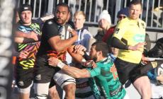 Zebre contro Agen oggi alle 15