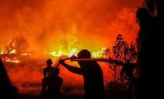 A fuoco 400 pallet in azienda, indagano i carabinieri