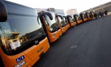Bus, il Tar invia la sentenza in procura e alla Corte dei conti: «Aspetti singolari e conflitto d'interessi»