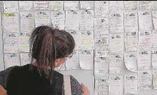 70 nuovi annunci di lavoro da Informagiovani