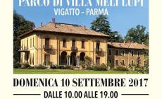 "Ascolto in Essere: le molteplici forme dell'Ascolto"