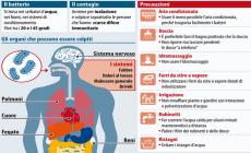 Legionella:  come si trasmette e che sintomi dà