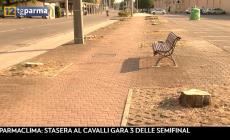 Via della Villetta, taglio degli alberi: Legambiente protesta - Video