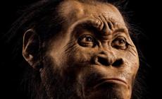 La nuova scoperta che potrebbe riscrivere l'evoluzione 