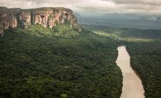 Viaggiava in bici attraverso l'Amazzonia: artista stuprata e uccisa