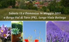 Borgo in fiore