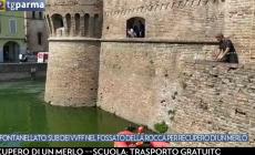 I sub del 115 recuperano nel fossato della Rocca il merlo abbattuto da un albero - Video