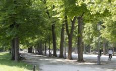 Furto e rapina: arrestato marocchino nel parco Ducale