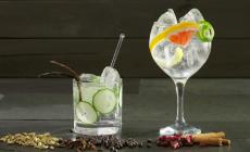Degustazione Gin e toniche Fever Tree
