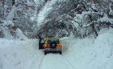 Parma si mobilita per l'Italia centrale 