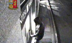 Delitto di Milano, la Pavani uccisa per soldi mentre dormiva