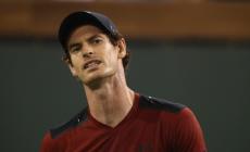 Cincinnati, Murray torna ma perde