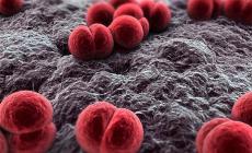 Meningite, 35enne trasferito da Parma a Guastalla: è ancora grave