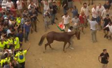 Palio Siena: guarda la strepitosa rimonta del cavallo scosso della Selva - Video