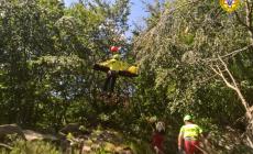 Monchio, parmigiana cade mentre va a funghi. Trasportata al Maggiore in elicottero