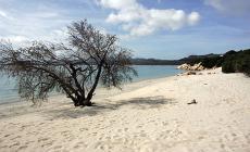 Spiagge sarde depredate: 200 kg di sabbia ritrovati a Cagliari