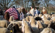 Bancarelle, musica e benedizioni degli animali: l'agenda della domenica