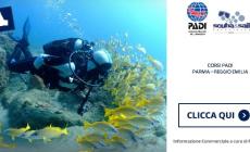 ? info@scubadventures.com ? 3423275889