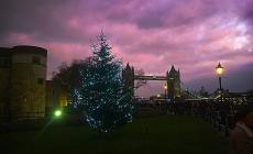Da Camden a Southwark, Natale "parmigiano" a Londra: riconoscete i posti?