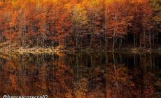 Foliage d'autunno: ecco le 10 foto pi&ugrave; belle selezionate da IgersParma